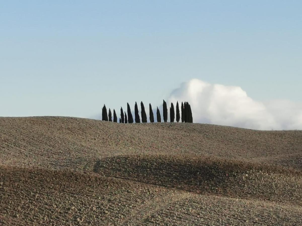 Goccia In Valdorcia Smart Home San Quirico dʼOrcia Exteriör bild